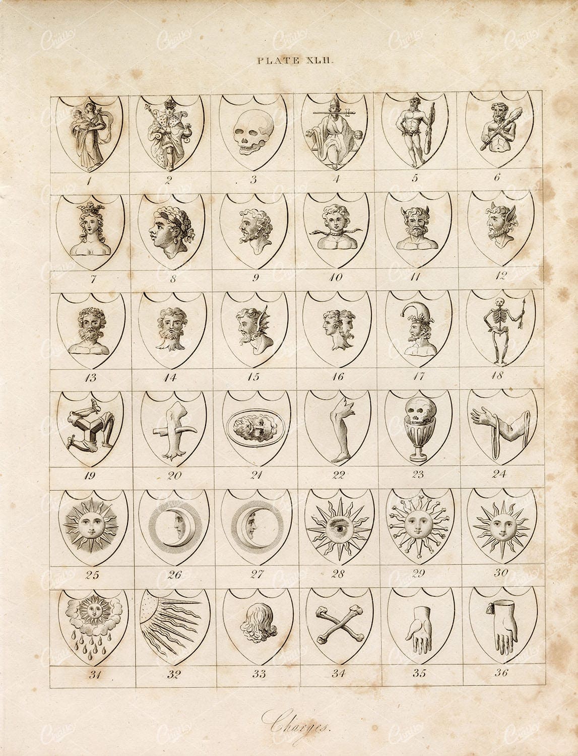ANTIQUE HERALDRY Print by William Berry - Plate XLII Charges 1829
