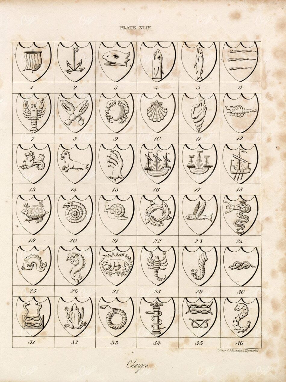 1829 Antique Heraldry Encyclopaedia Print by William Berry - Charges