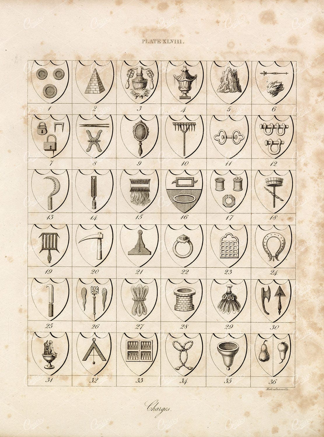 ANTIQUE HERALDRY Print by William Berry - Plate XLVIII Charges 1829
