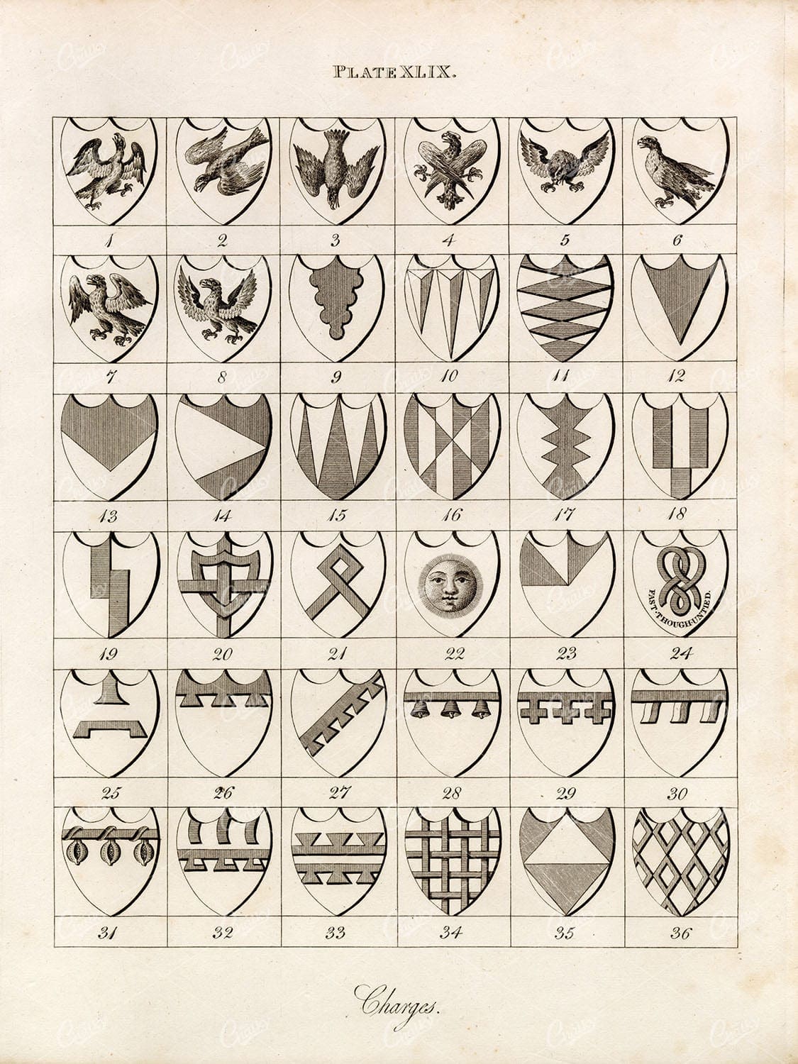 ANTIQUE HERALDRY Print by William Berry - Plate XLIX Charges 1829