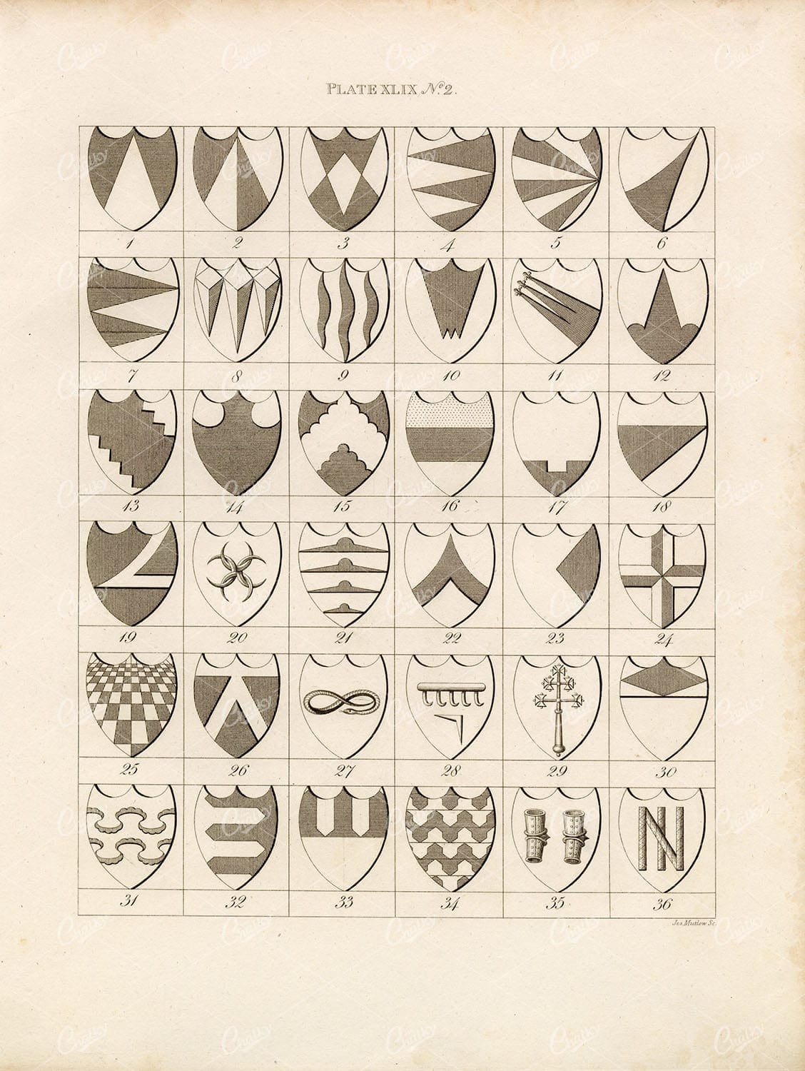 ANTIQUE HERALDRY Print by William Berry - Plate XLIX No.2 Charges 1829