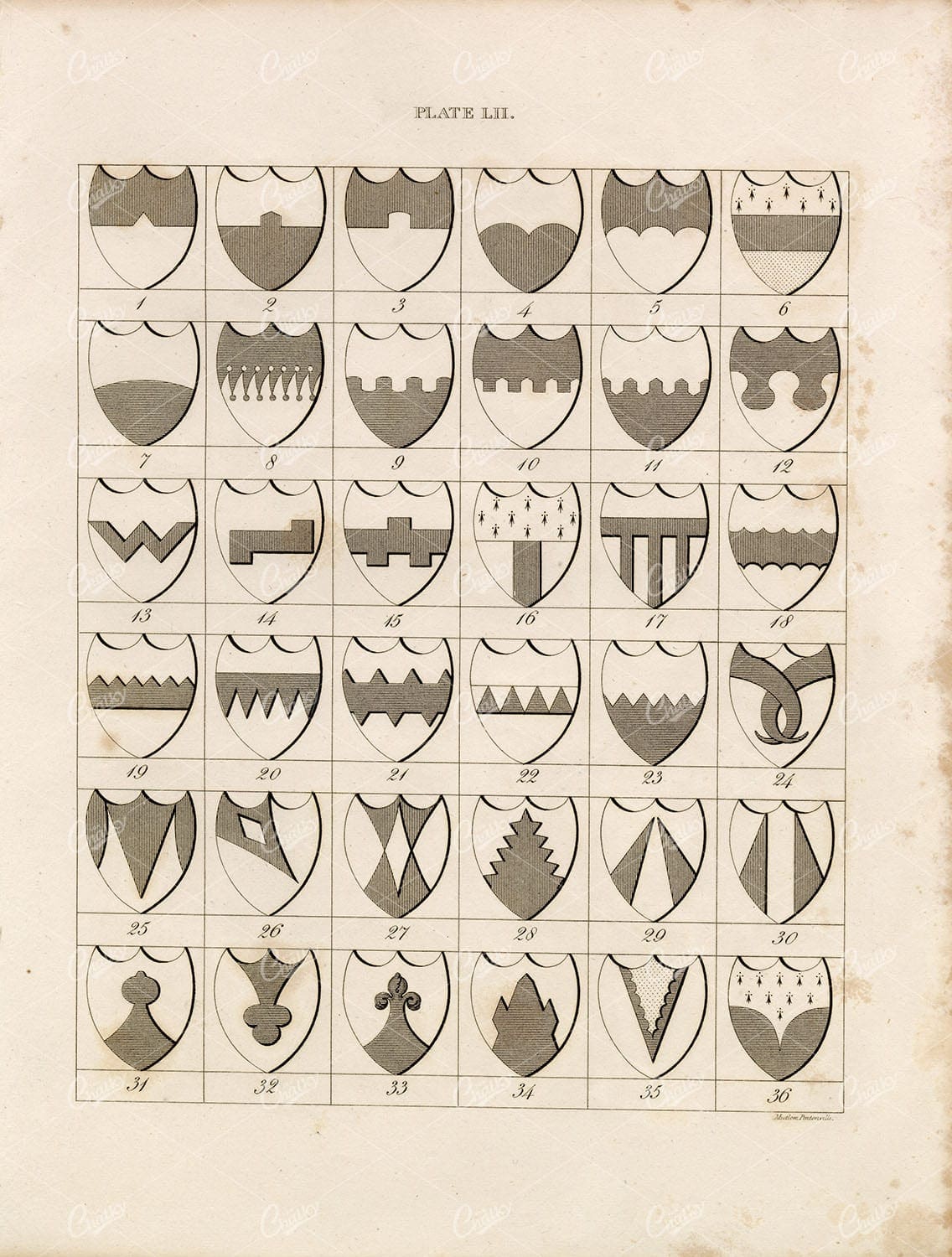 ANTIQUE HERALDRY Print by William Berry - Plate LII Fessel Shields 1829