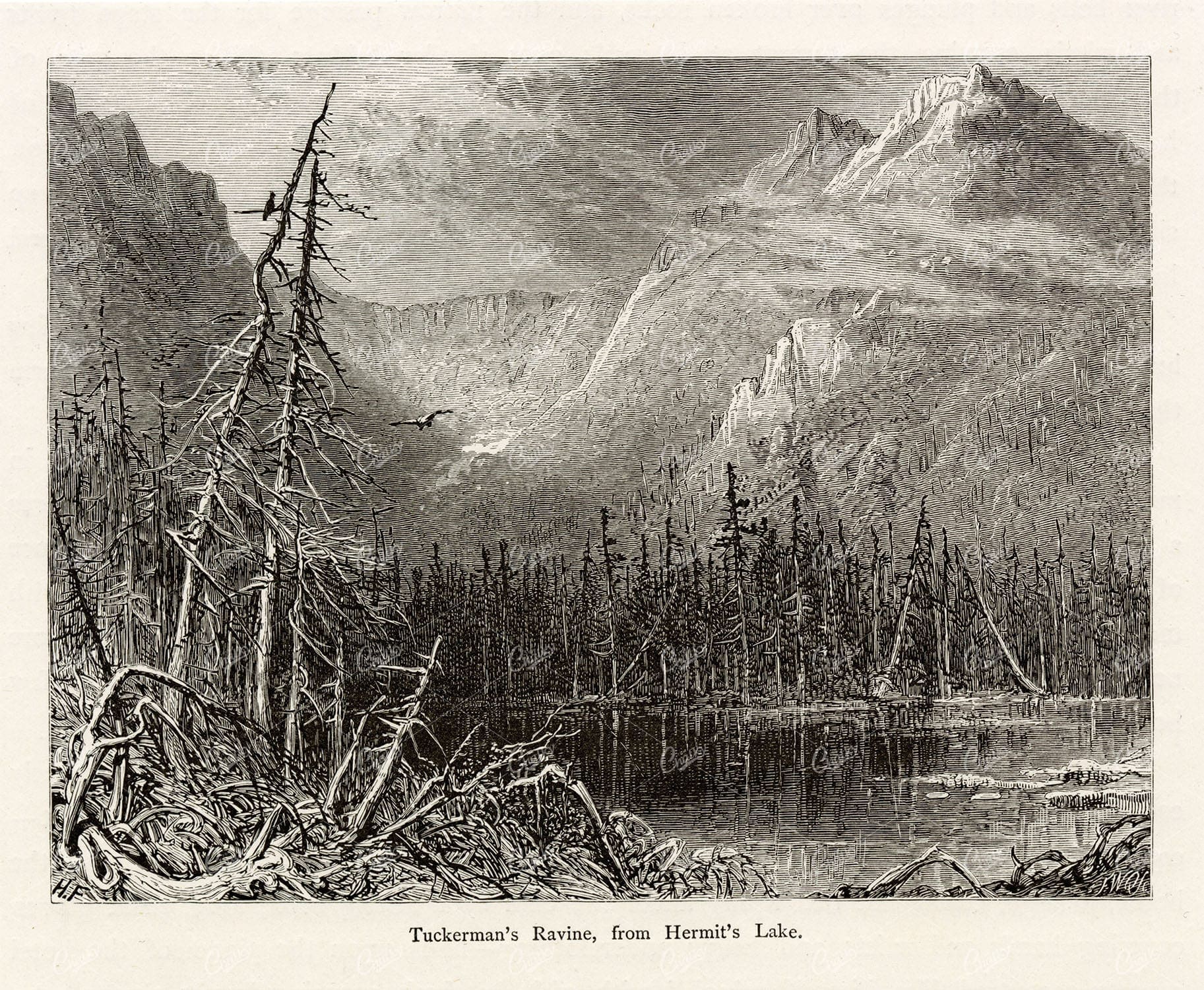NEW HAMPSHIRE - Tuckerman's Ravine from Hermit's Lake - Antique Print