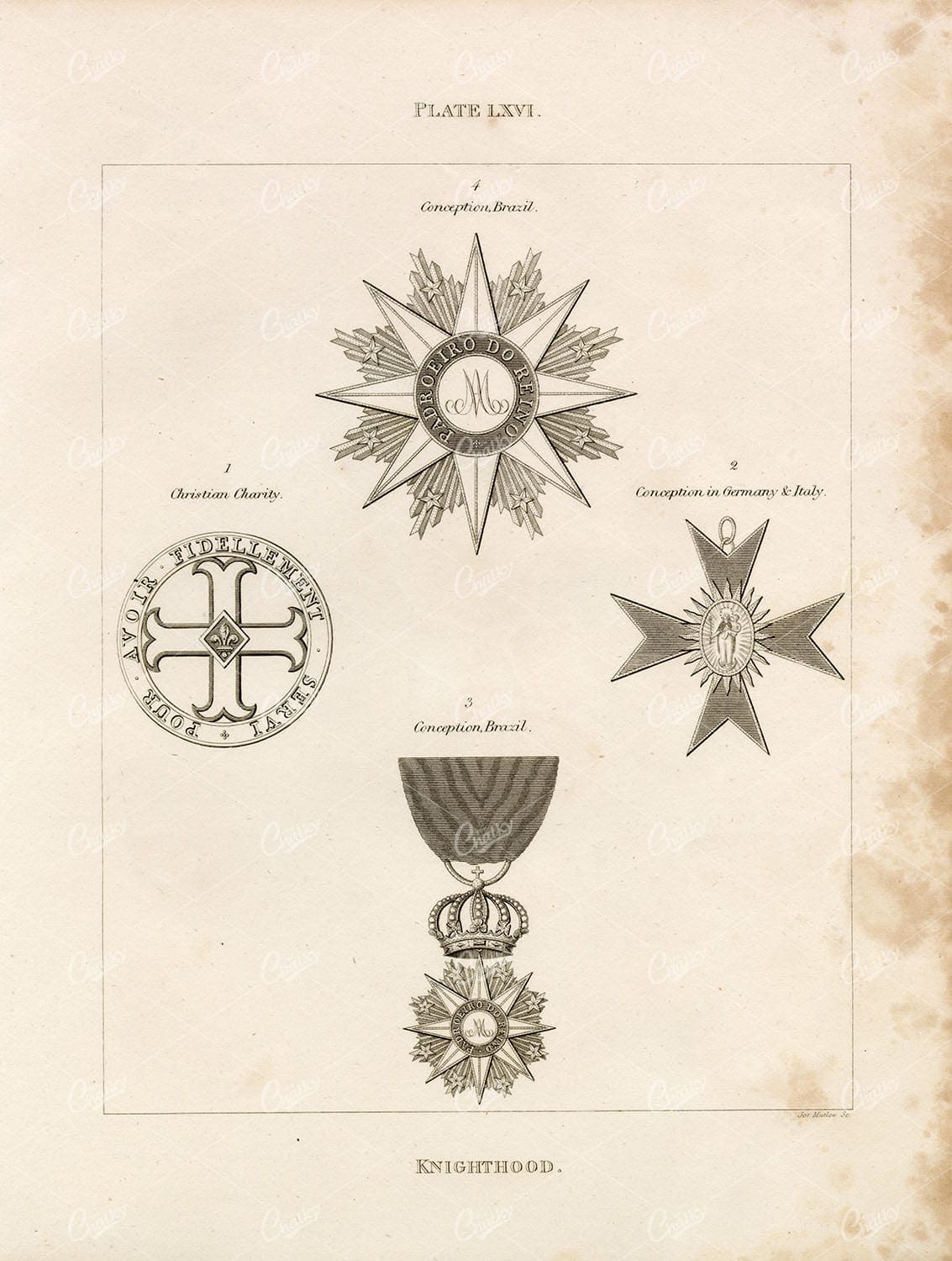 ANTIQUE HERALDRY - Knighthood Print - Conception, Brazil, Italy, Germany