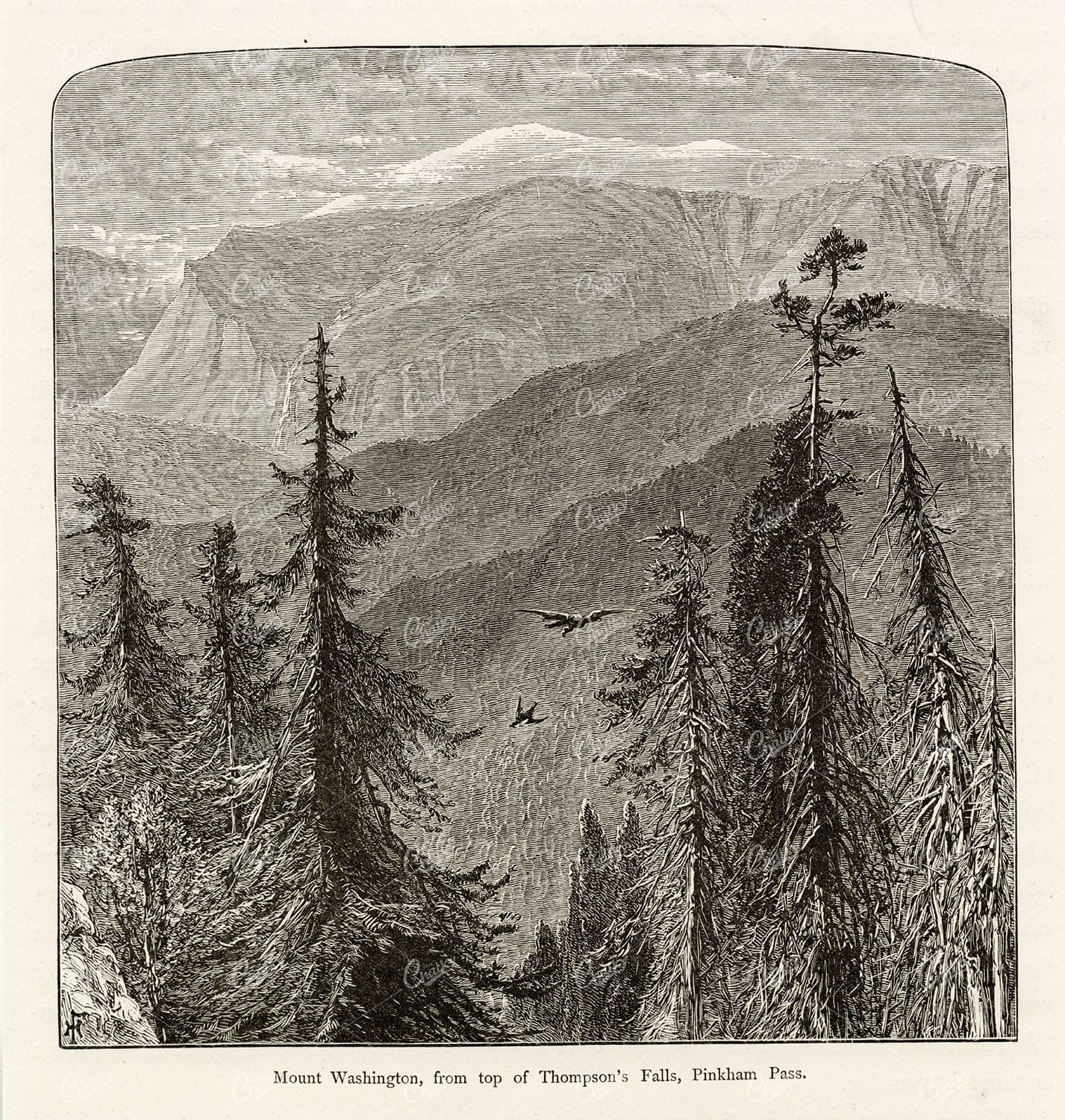 MOUNT WASHINGTON from Thompson's Falls, Pinkham Pass - Antique 1874 Print