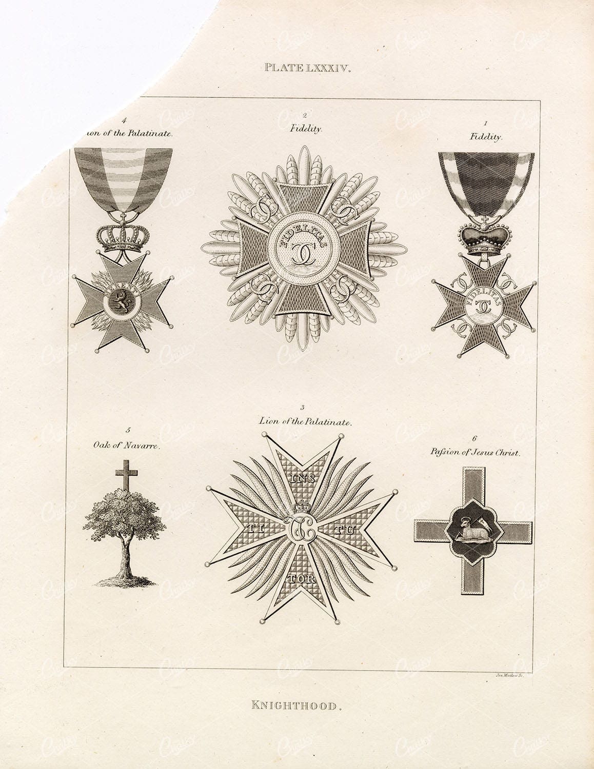 ANTIQUE Heraldry - Knighthood Print - William Berry - 1829