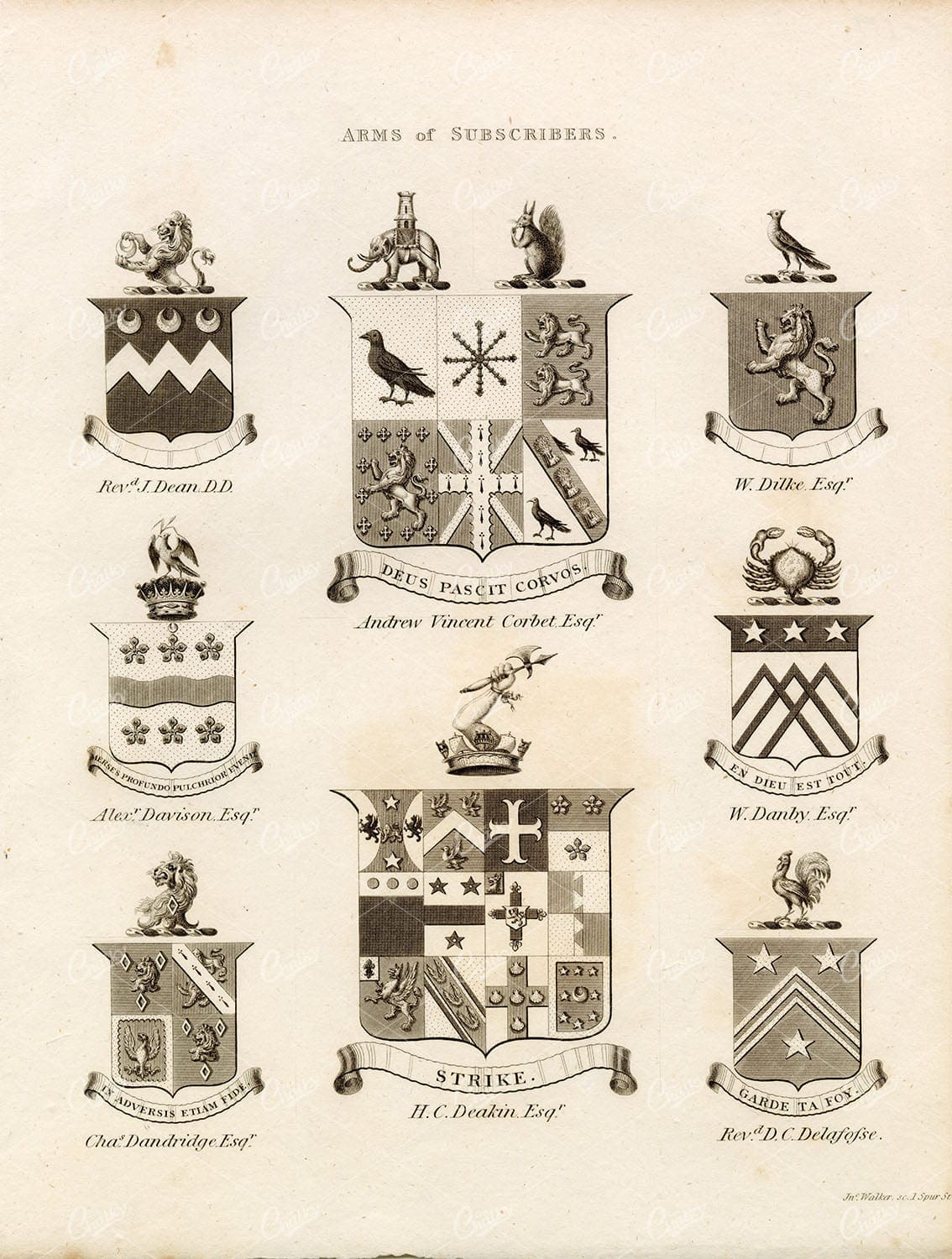 ARMS of SUBSCRIBERS - Antique 1829 Heraldry Print - William Berry