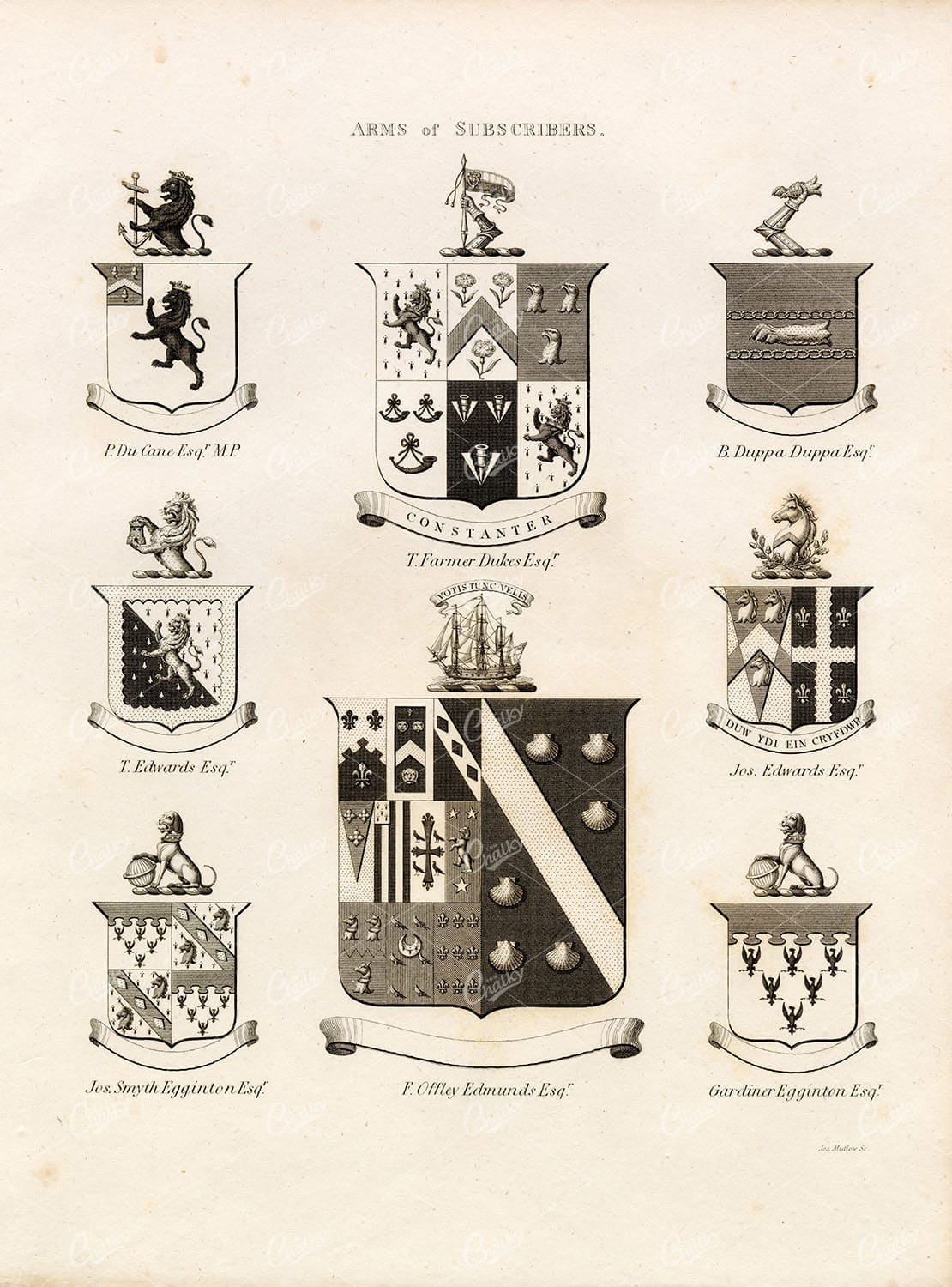 ARMS of SUBSCRIBERS - Antique 1829 Heraldry Print - William Berry