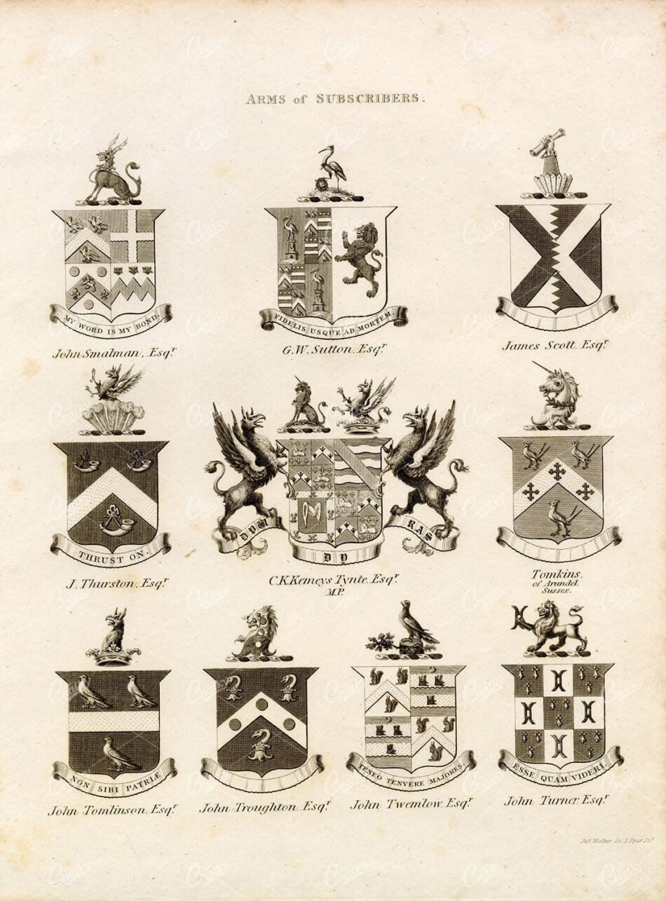 ARMS of SUBSCRIBERS - Antique 1829 Heraldry Print - William Berry