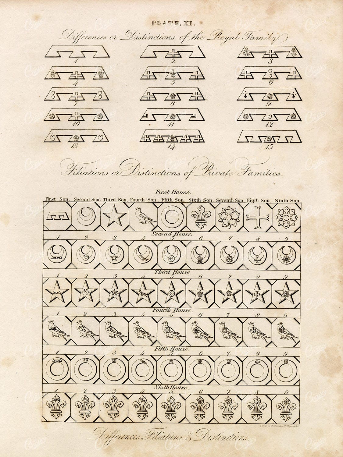 ANTIQUE Heraldry - Differences of the Royal Family - Arms, Royal, 1829