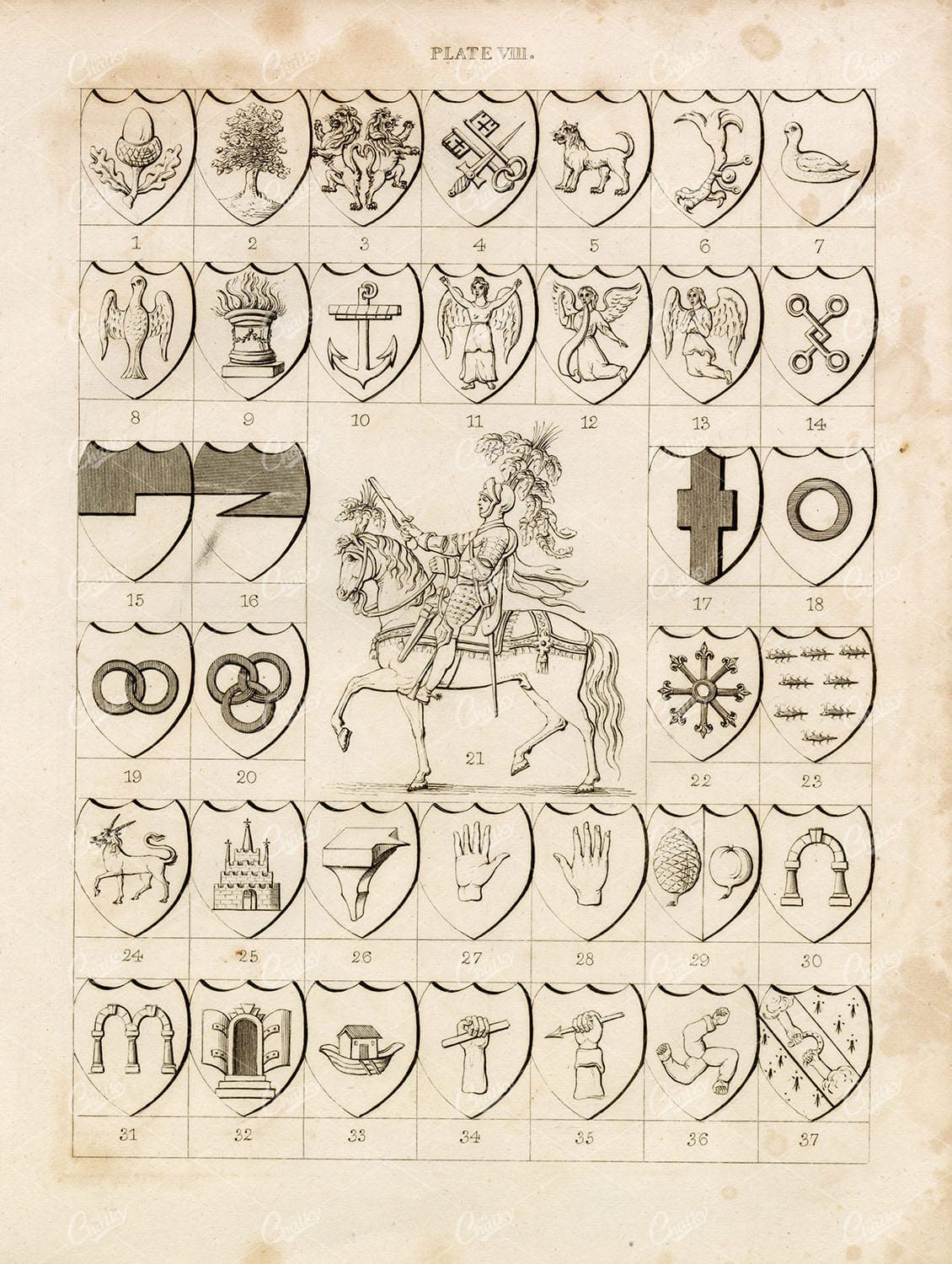 ANTIQUE 1829 HERALDRY Print - Charges - William Berry
