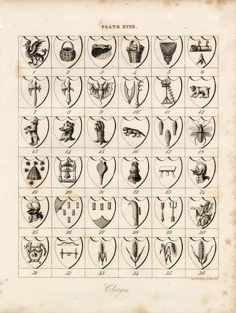 ANTIQUE 1829 HERALDRY Print - Charges - William Berry