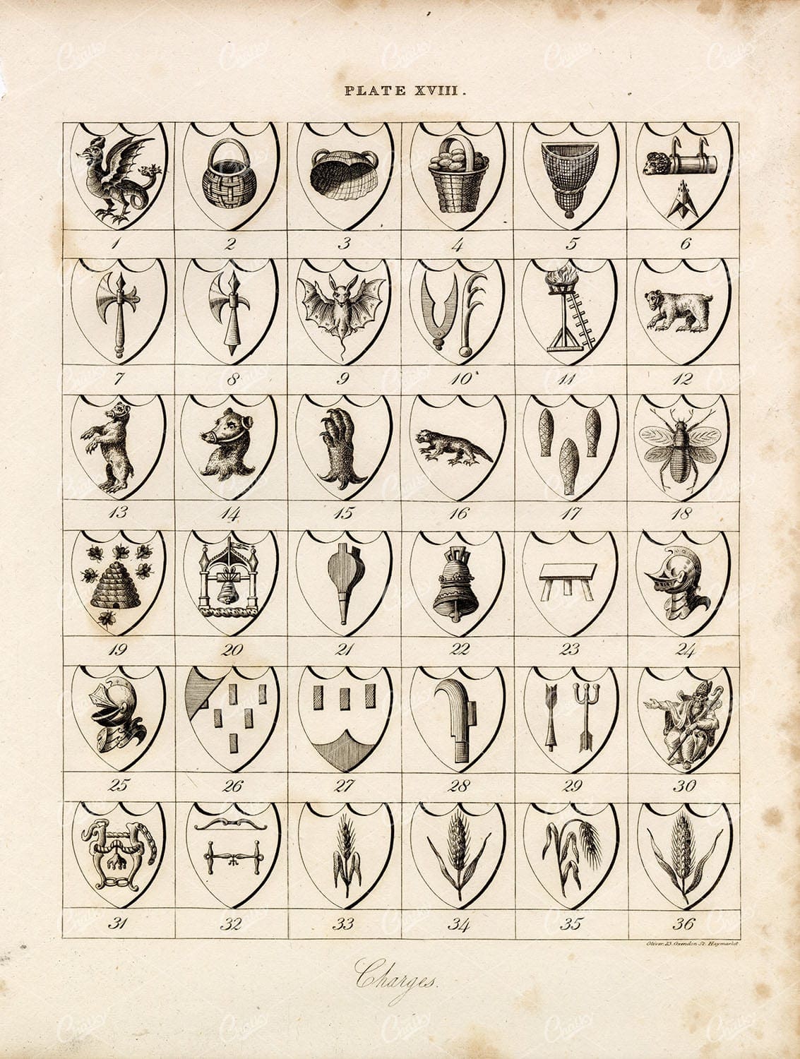 ANTIQUE 1829 HERALDRY Print - Charges - William Berry