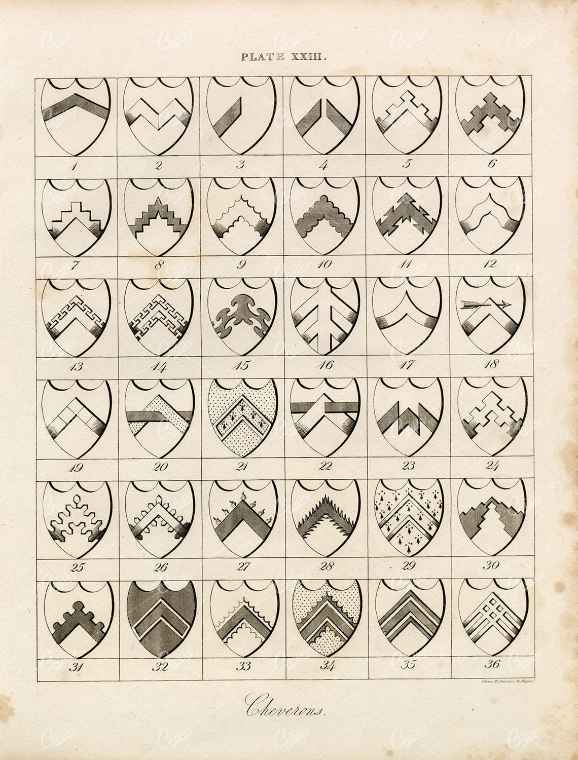 ANTIQUE 1829 HERALDRY Print - Chevrons - William Berry