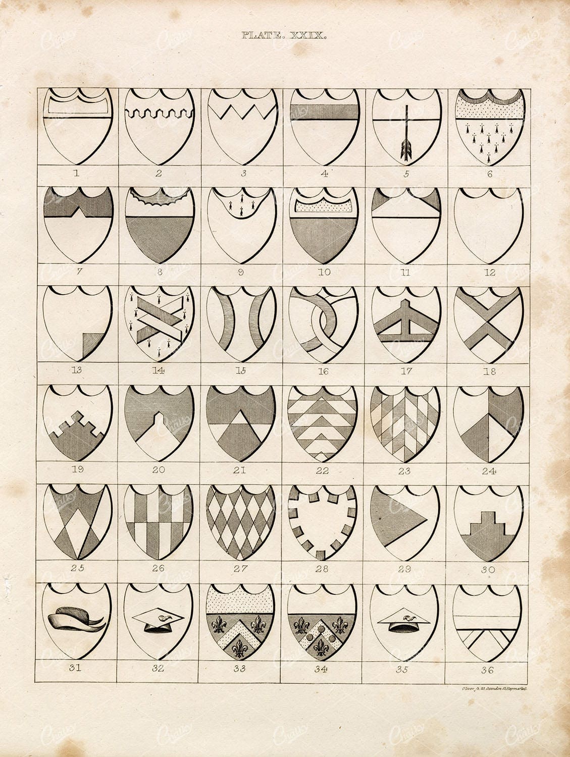 ANTIQUE 1829 HERALDRY Print - Charges - William Berry