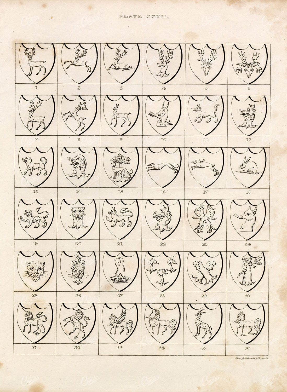 ANTIQUE 1829 HERALDRY Print - Charges - William Berry