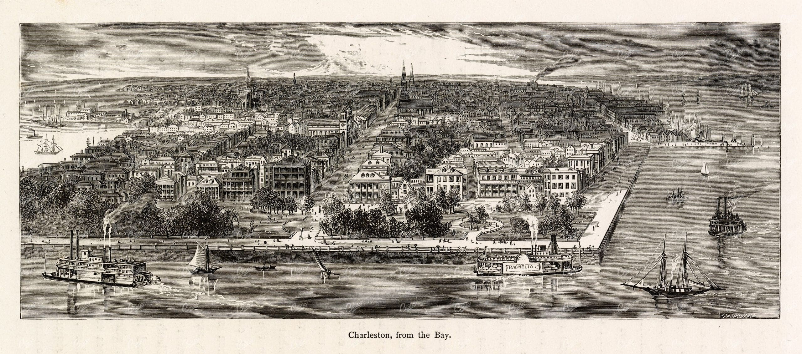 CHARLESTON View from the Bay - Antique Picturesque America 1874 Print