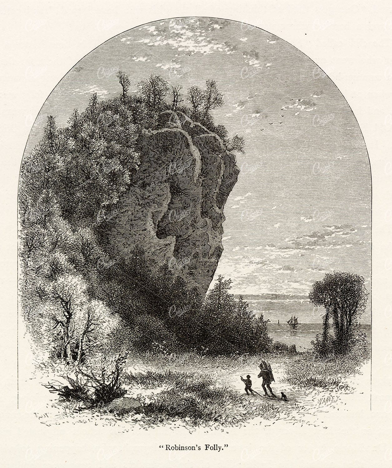 MICHIGAN - Mackinac Island "Robinson's Folly" - Antique American Print