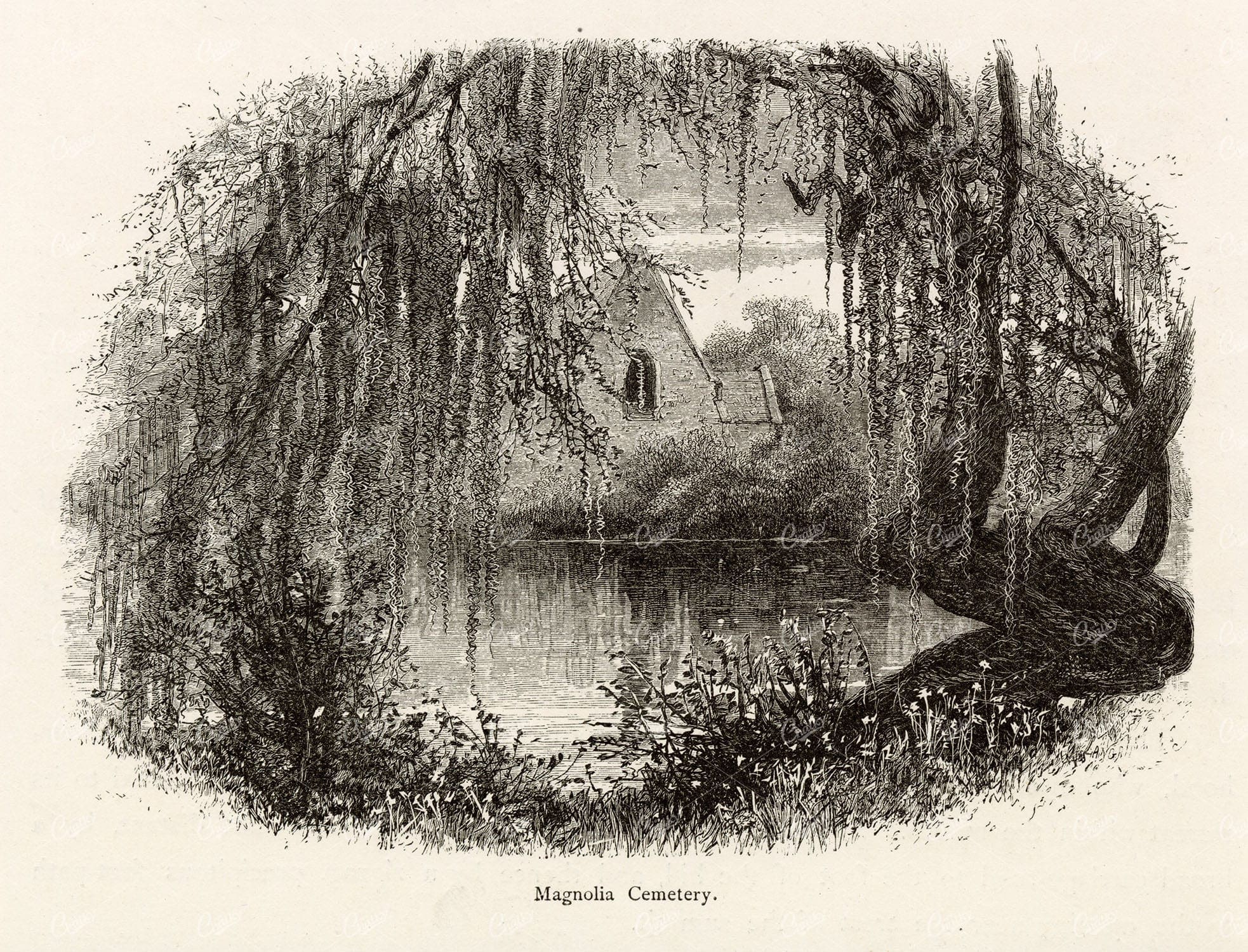 PICTURESQUE America 1874 - Magnolia Cemetery - Antique Engraving