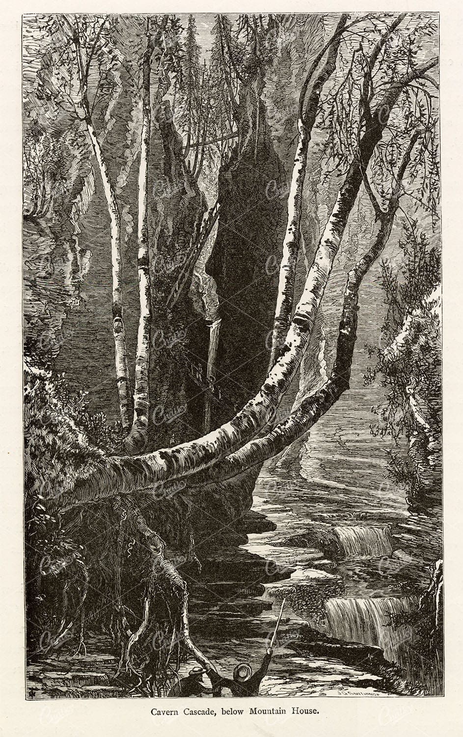 MOUNTAIN HOUSE and the Cavern Cascade below - Old Wood Engraving