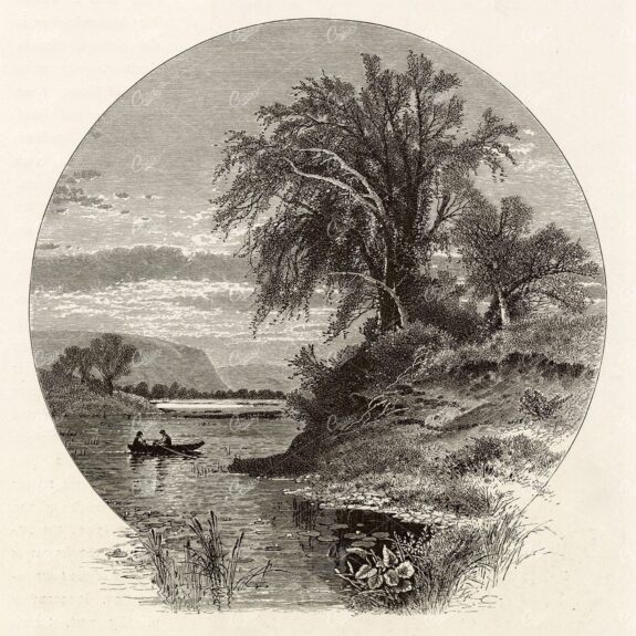 BOAT on Picturesque Lake - Lilypads, Trees, Mountains - 1874 Engraving
