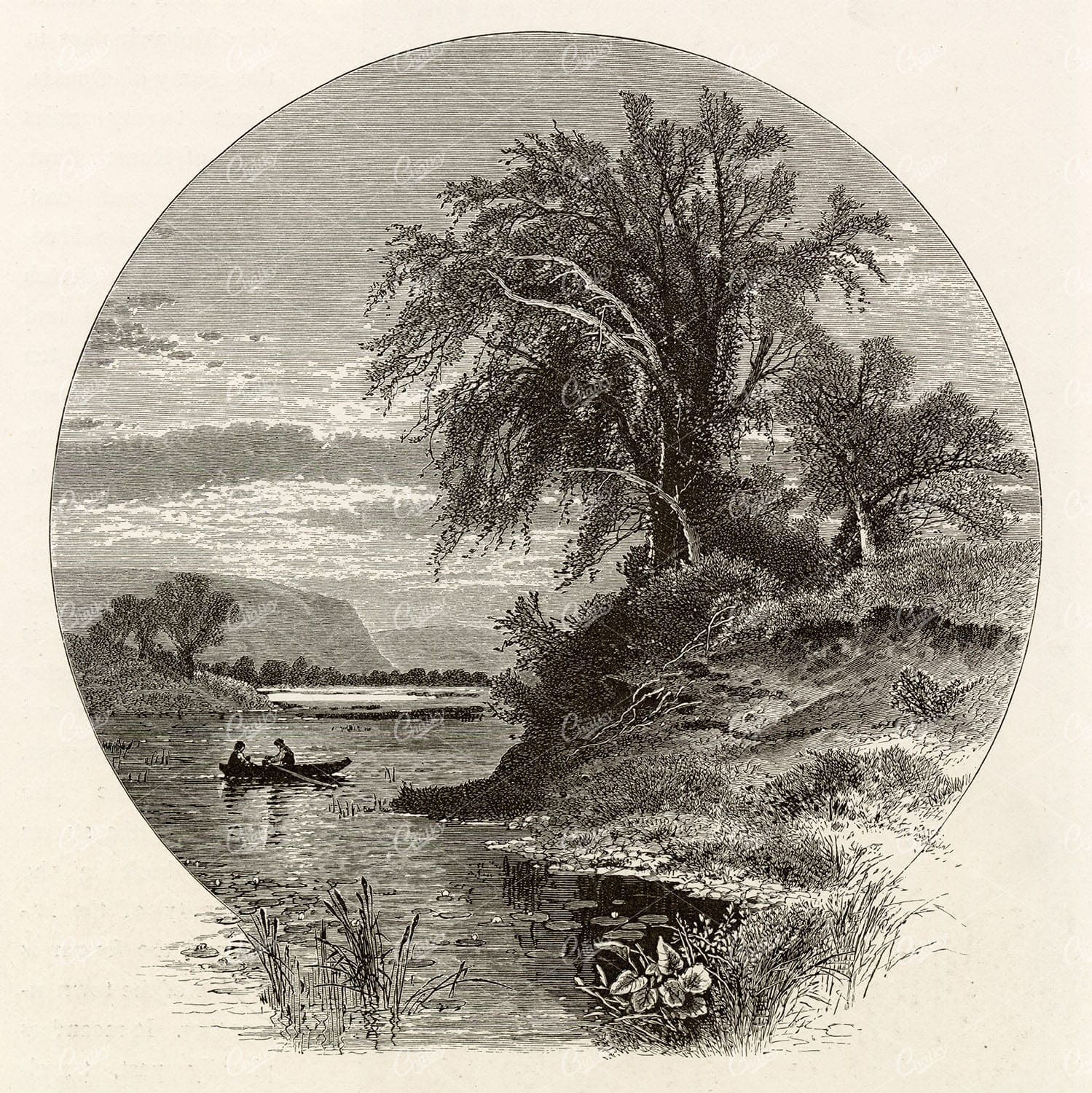 BOAT on Picturesque Lake - Lilypads, Trees, Mountains - 1874 Engraving