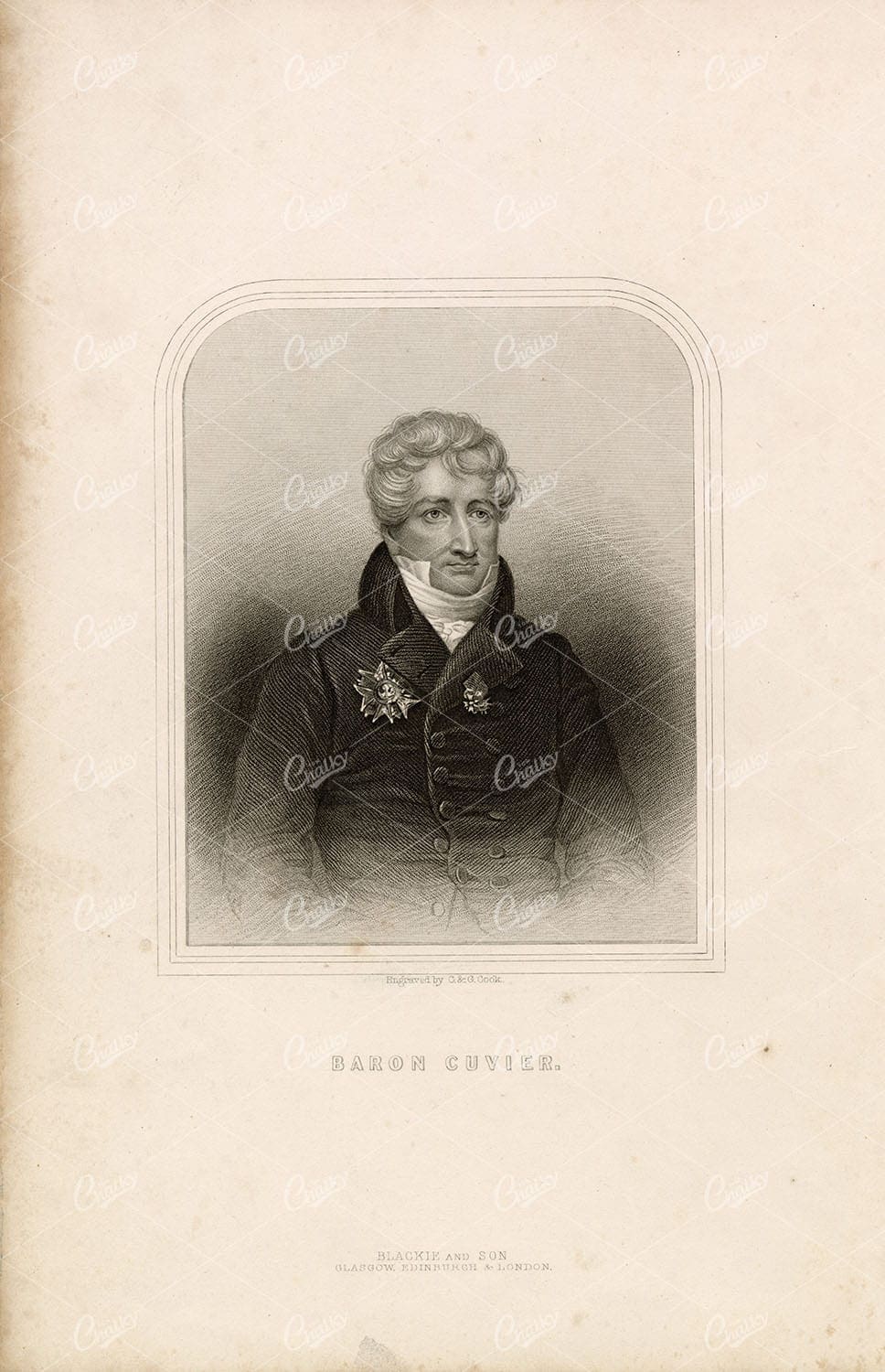 ANTIQUE Original 1858 Portrait Print of Baron Cuvier Engraving