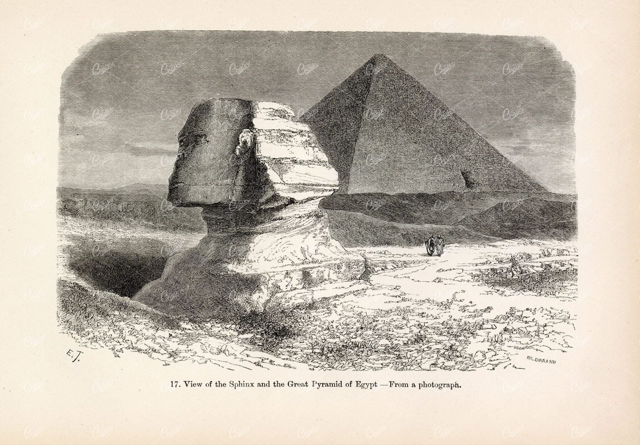 ANTIQUE Engraving - View of the Sphinx and Great Pyramid of Egypt - 1877