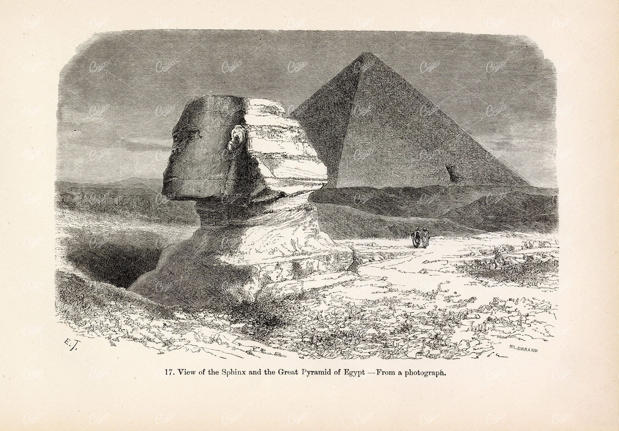 ANTIQUE Engraving - View of the Sphinx and Great Pyramid of Egypt - 1877