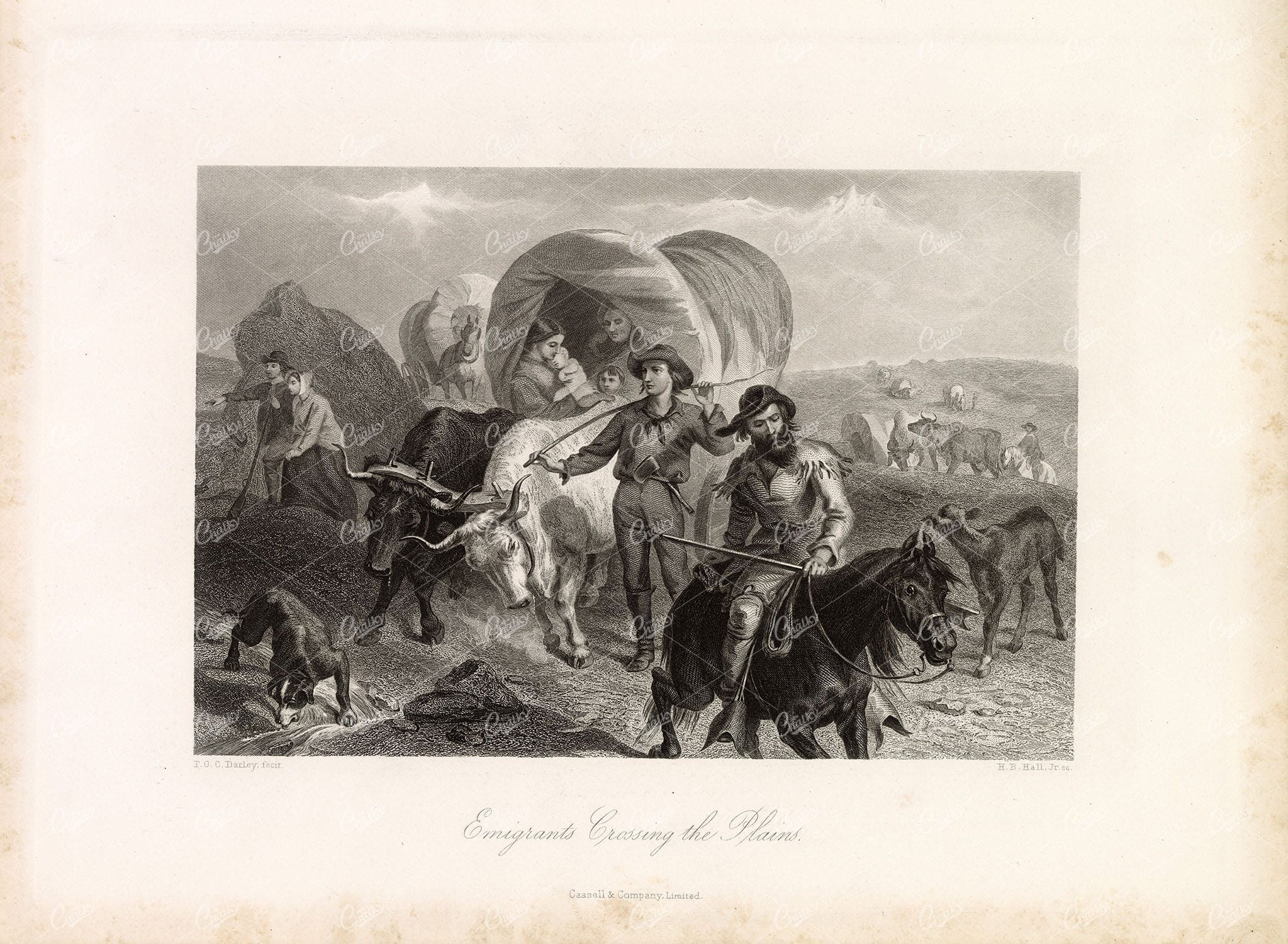 EMIGRANTS Crossing the Plains - Wagons, Cows, Horse - 1874