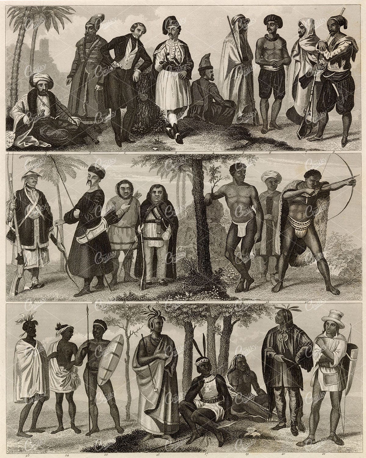 ETHNOLOGY of the Present Day - The Five Principle Races - 1851 Print