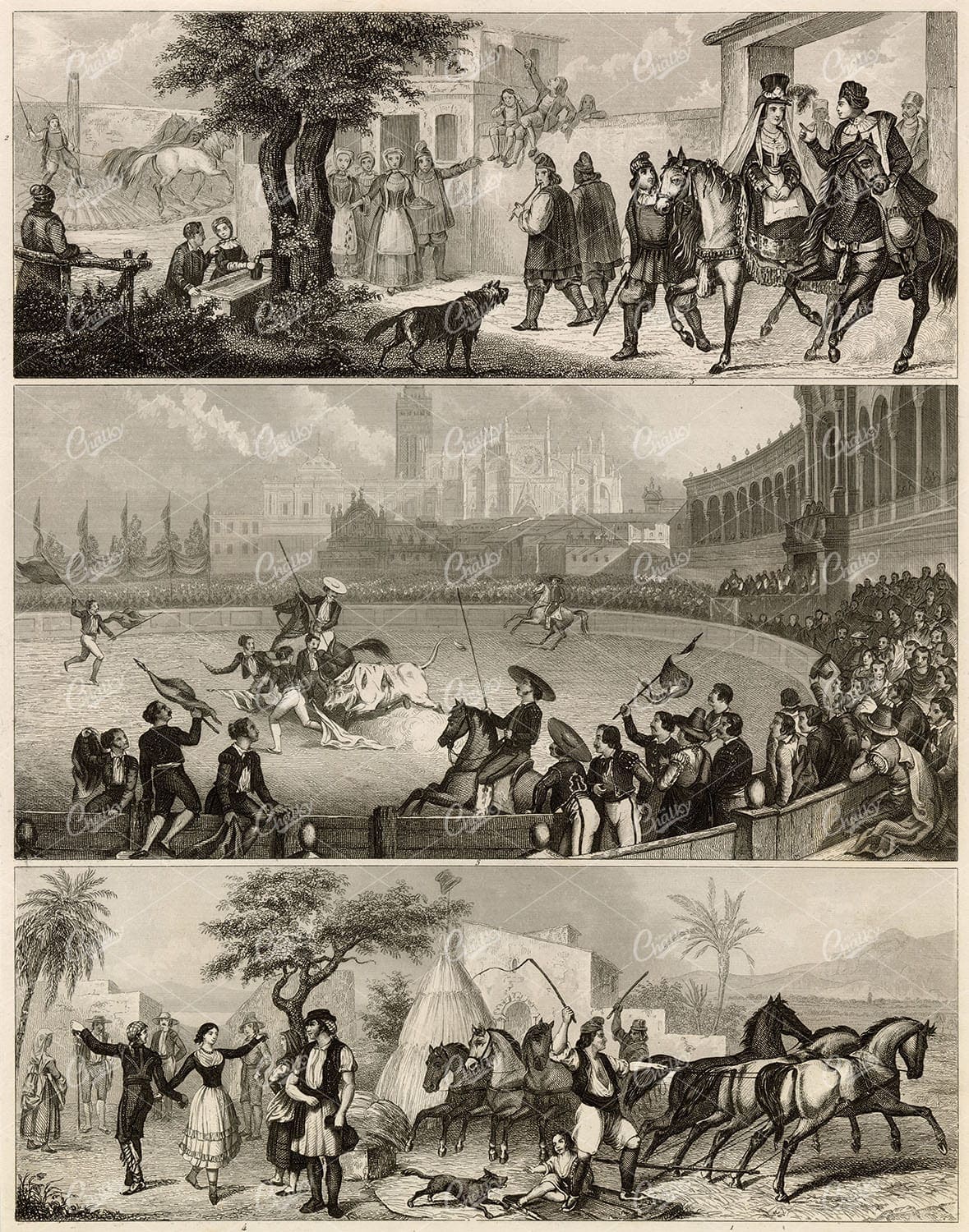 SPANISH Bull Fighting - Sardinian Wedding - Spanish Barn 1851 Print