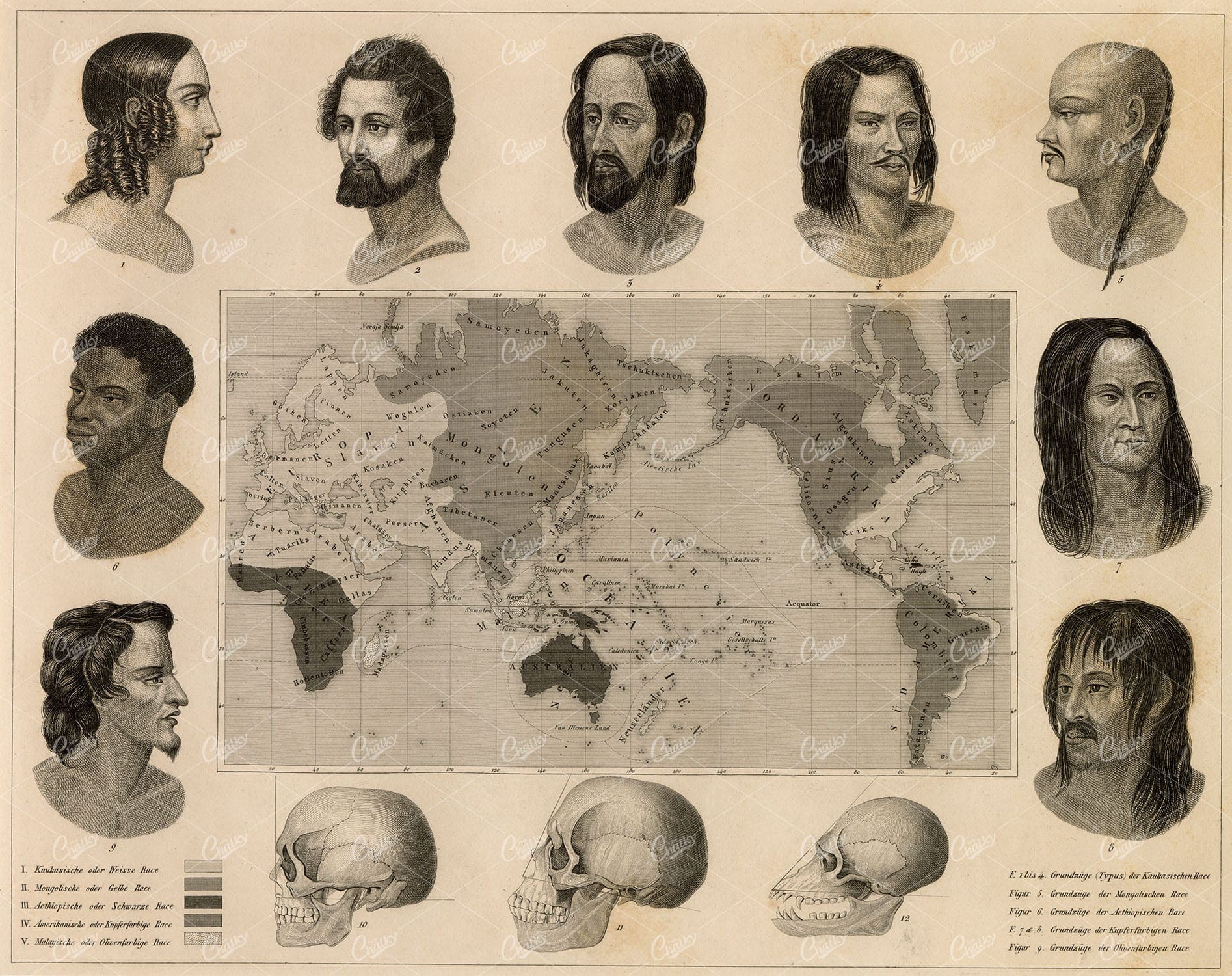ANTHROPOLOGY - Varieties of Mankind - Antique 1851 Original Print