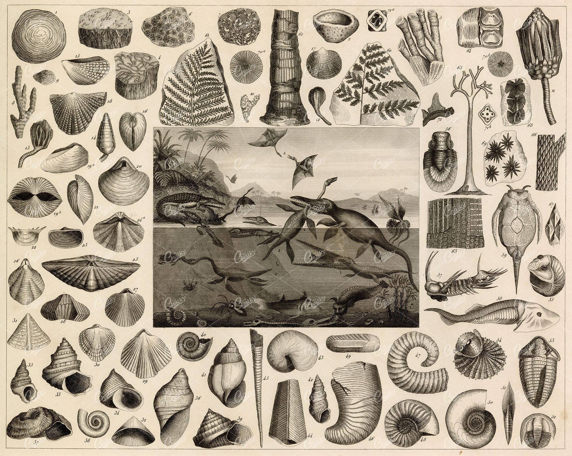 GEOLOGY - Fossils and Bucklands Animals of the Lias - 1851 Antique Print