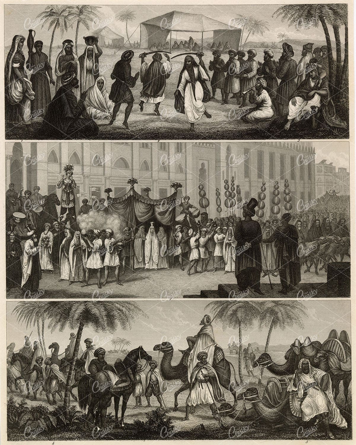 HISTORY and Ethnology - Arabian Dames, Tents, and Caravan - Antique Print