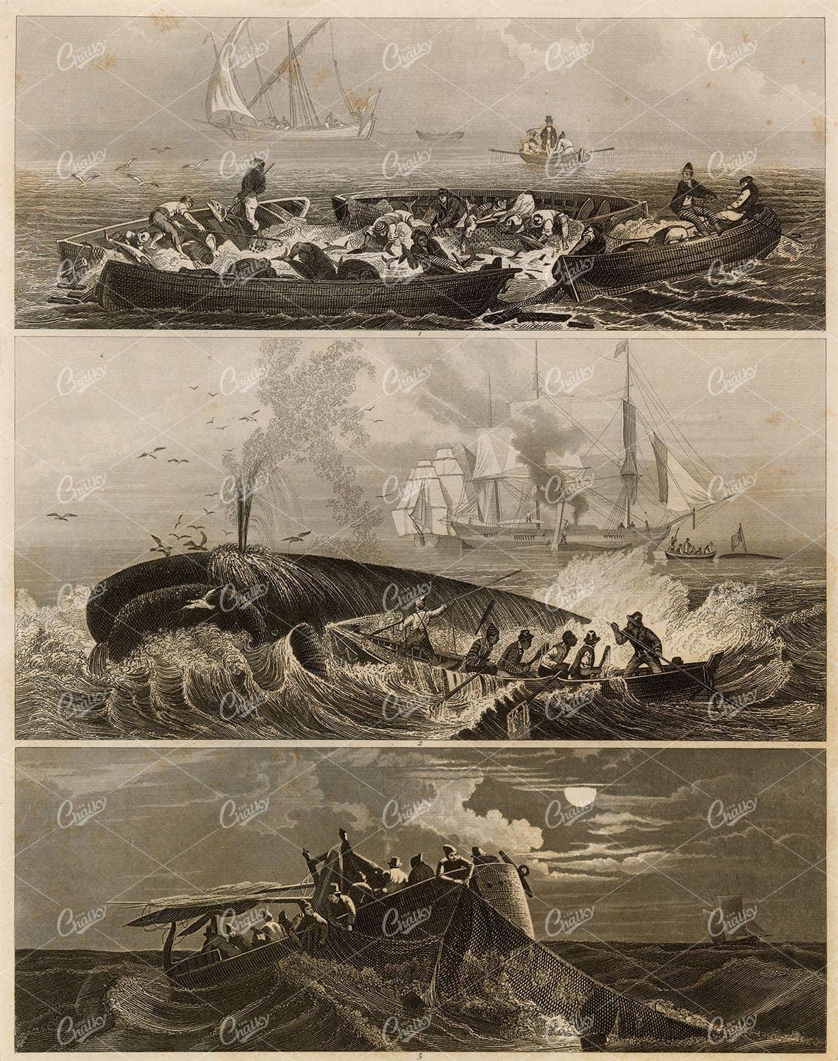 NAVAL Sciences - Fishermen - Original Johann Heck 1851 Print
