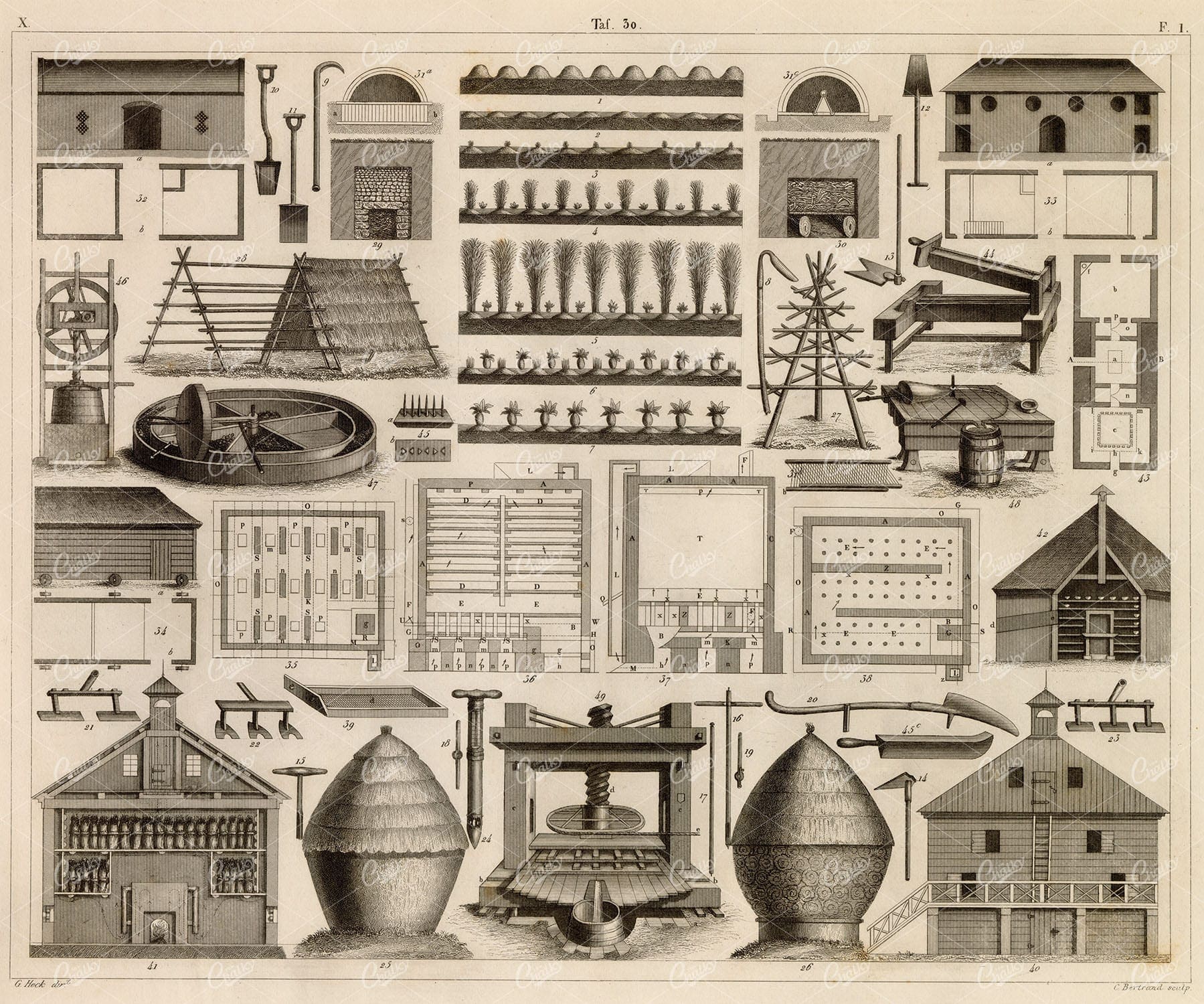 AGRICULTURAL Tools and Management - 1851 Engraving by J. Heck