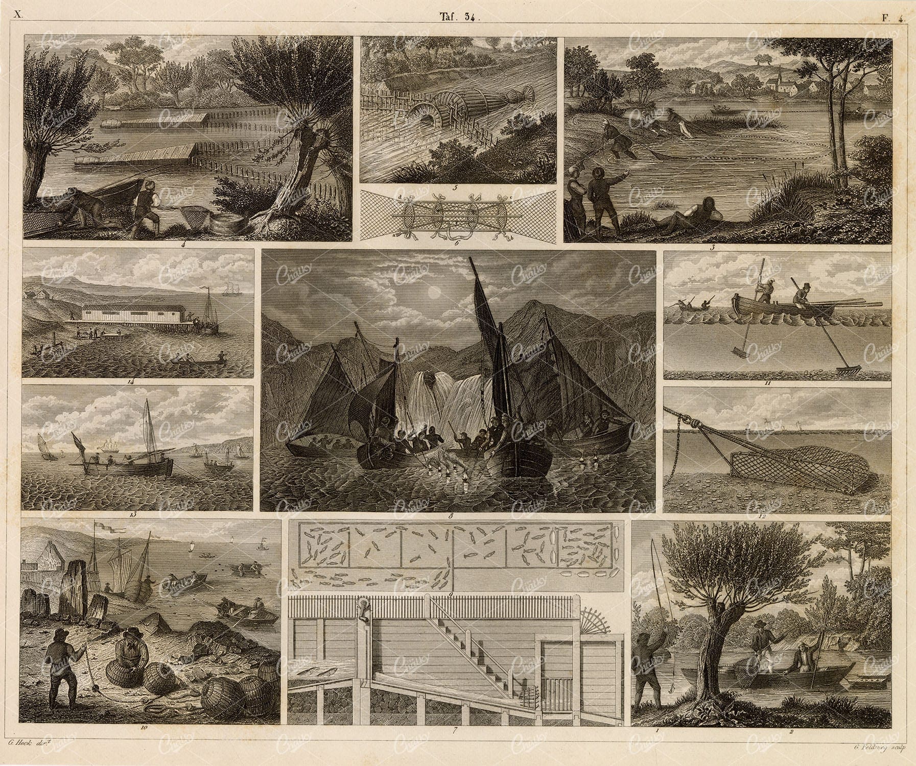 FRESHWATER and Marine Fishing - Antique 1851 Engraving by J. Heck