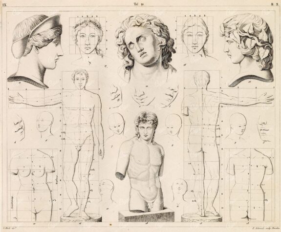 THEORY of Drawing / Anatomy Proportions - Antique 1851 Artwork