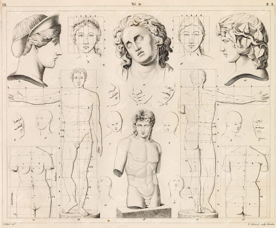 THEORY of Drawing / Anatomy Proportions - Antique 1851 Artwork