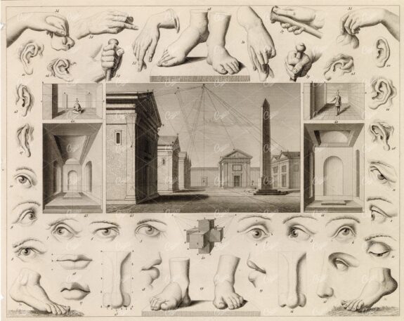 THEORY of the Art of Drawing Anatomy - Antique 1851 Print - J. Heck