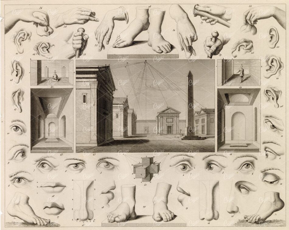 Artist's Drawing Studies - Hands, Feet, Eyes, Ears With Perspective