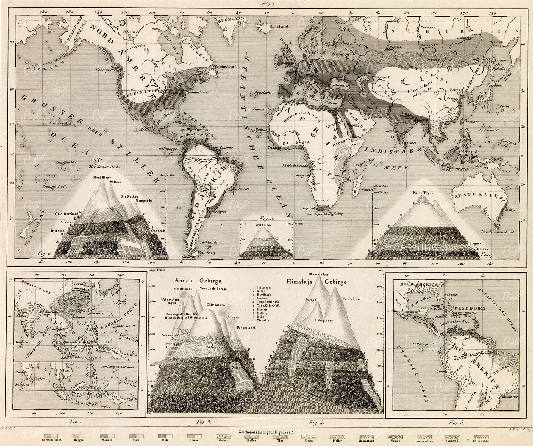 GEOGRAPHY and Planography - Antique World Map and Mountains