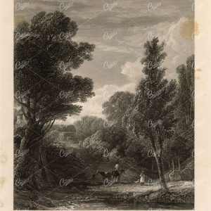 1853 A Woodland View from the Vernon Gallery Picture - Antique Print