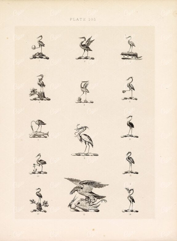 ANTIQUE Original Old Print - Heraldry Crests c1900s Winged Birds