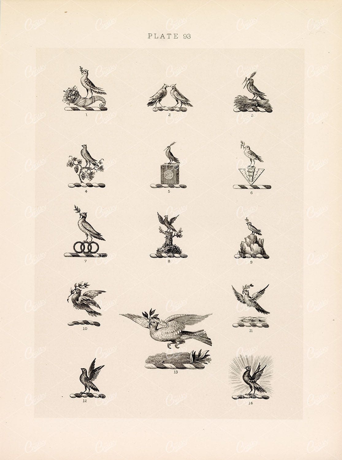 ORIGINAL Old Antique Print - Plate Heraldry Crests c1900s Birds Nature
