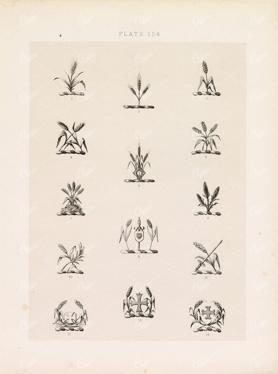 ORIGINAL Old Antique Print - Plate Heraldry Crests c1900s Crops Grass