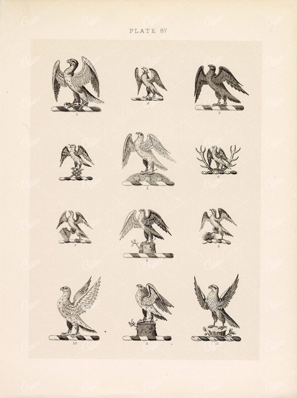 Eagle Emblems In A Numbered Grid - Twelve Monochrome Raptors With Raised Wings On Varied Perches, Titled Plate 87