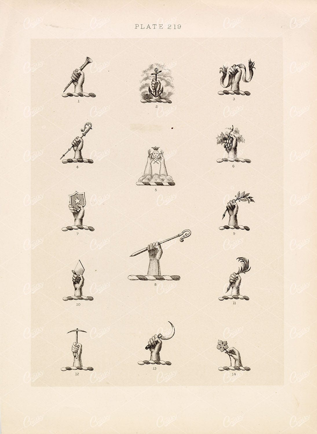 ORIGINAL Old Antique Print - Heraldry Crests c1900s Hands Weapons