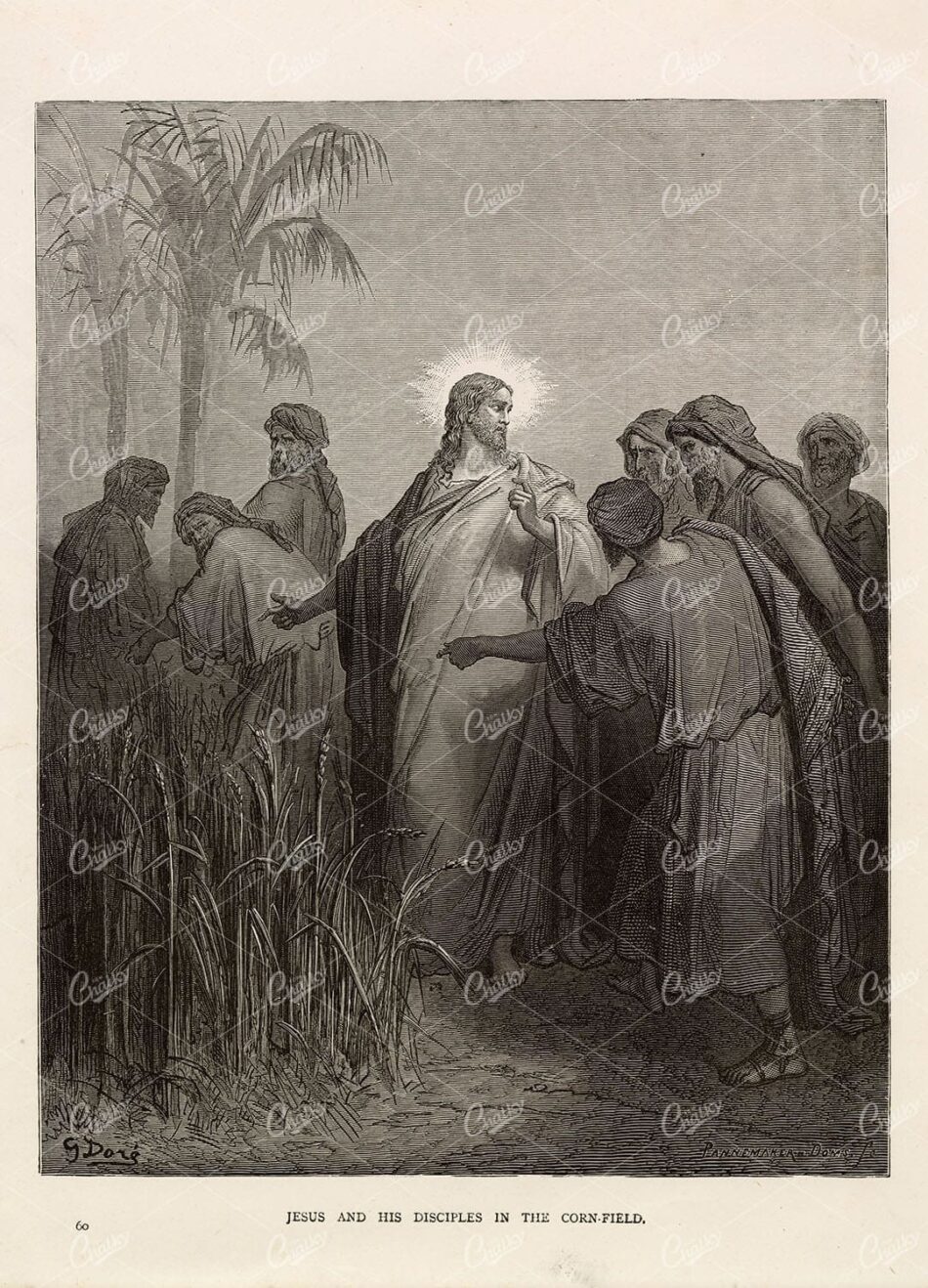 Jesus And Disciples In Cornfield - Gustave Doré Bible Engraving